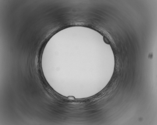 X0000116330251201001131030