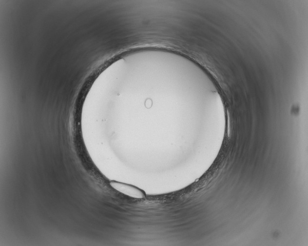 X0000116330252201001131030