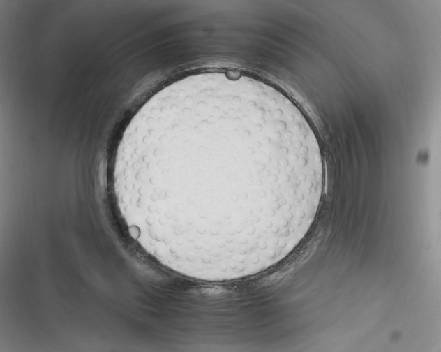 X0000116330253201001131030