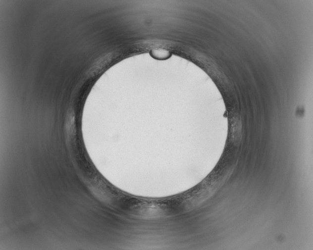 X0000116330254201001131030