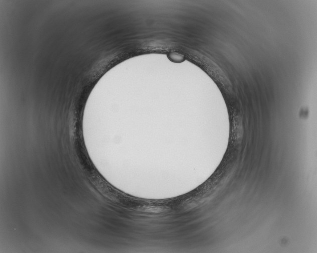 X0000116330255201001131030