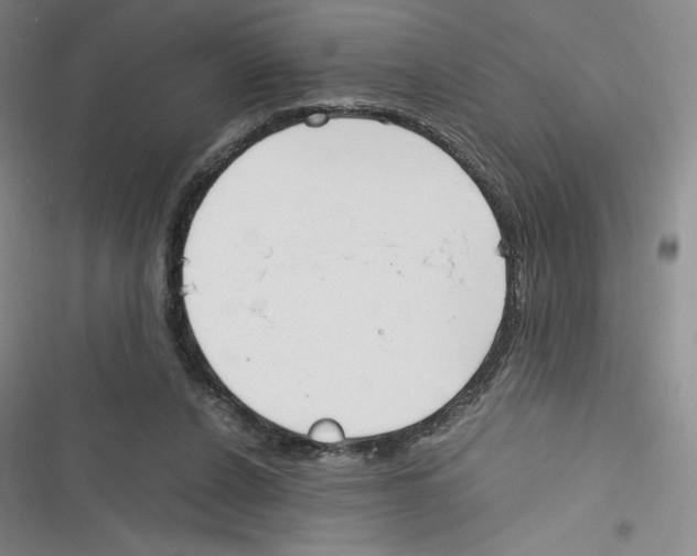 X0000116330256201001131030