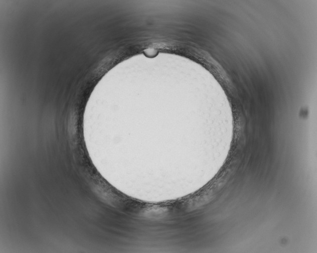 X0000116330257201001131030
