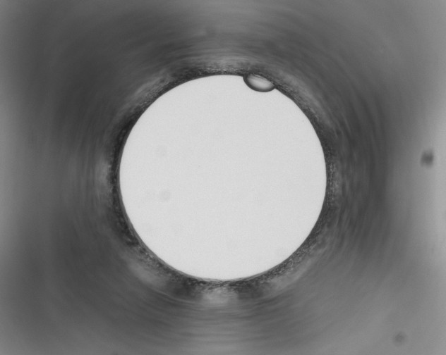 X0000116330258201001131030