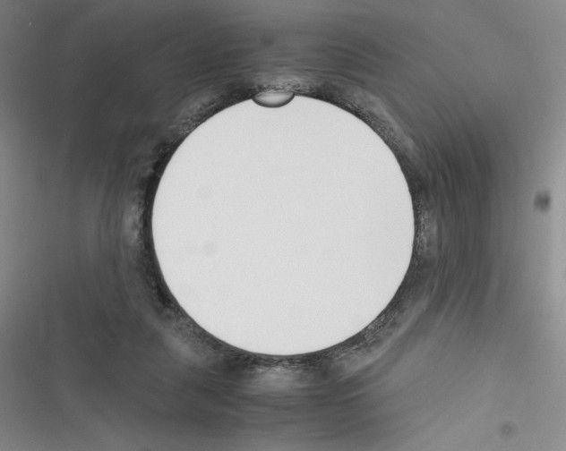 X0000116330259201001131030