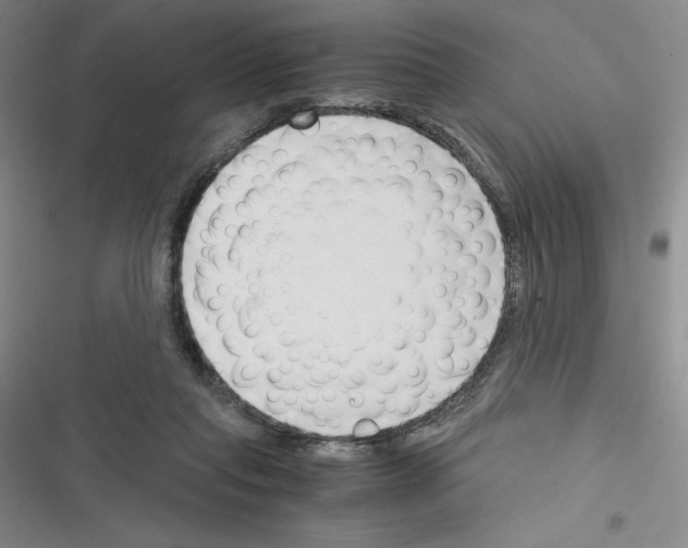 X0000116330261201001131030