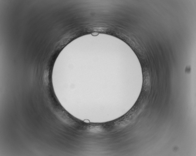 X0000116330262201001131030