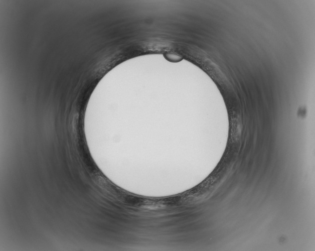 X0000116330263201001131030