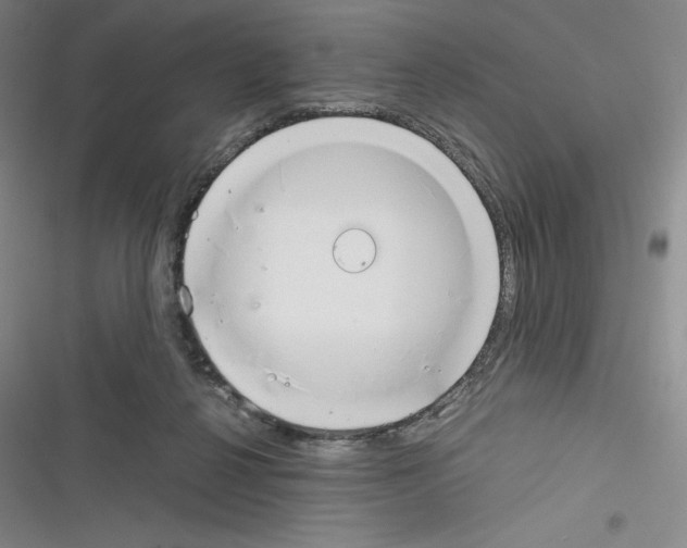 X0000116330264201001131030