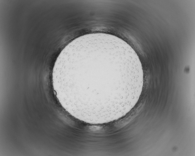 X0000116330265201001131030