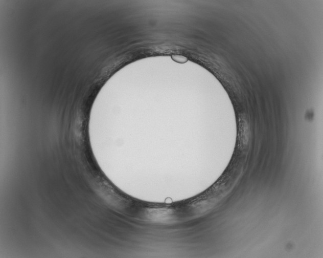 X0000116330266201001131030