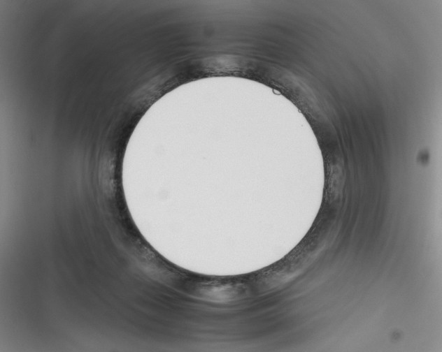 X0000116330267201001131030
