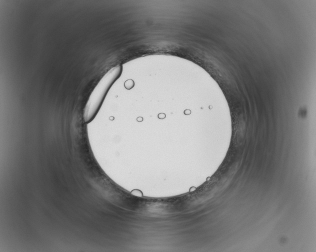 X0000116330268201001131030