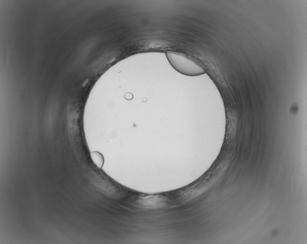 X0000116330269201001131030
