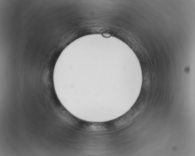 X0000116330270201001131030