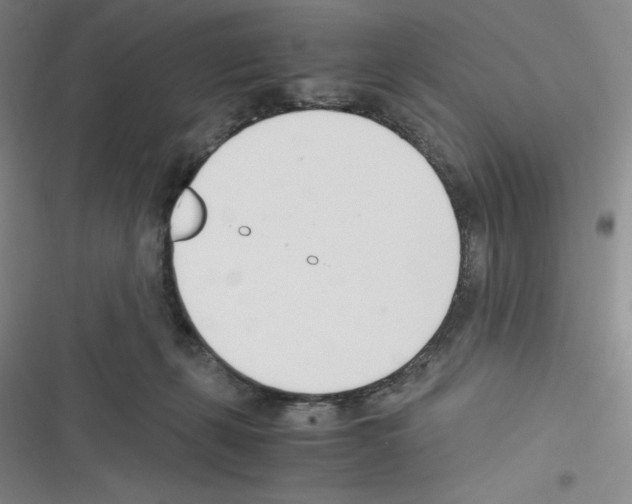 X0000116330271201001131030