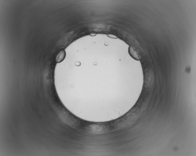 X0000116330272201001131030