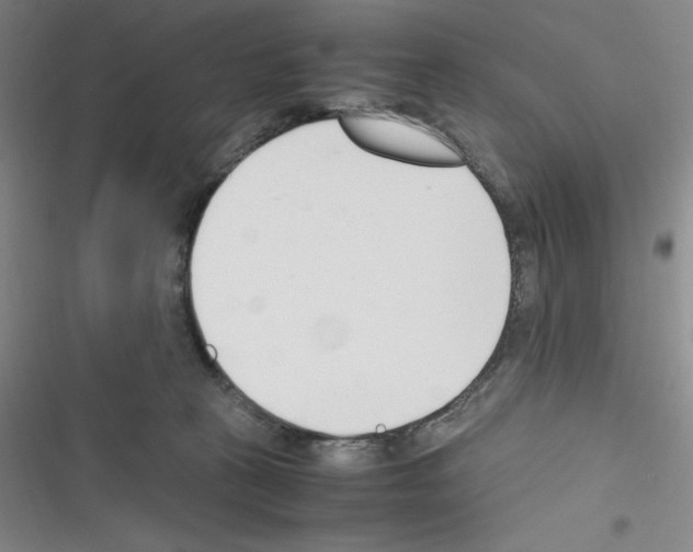 X0000116330273201001131030