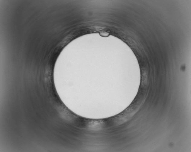 X0000116330274201001131030