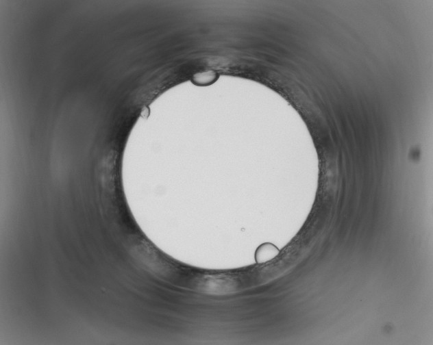 X0000116330275201001131030