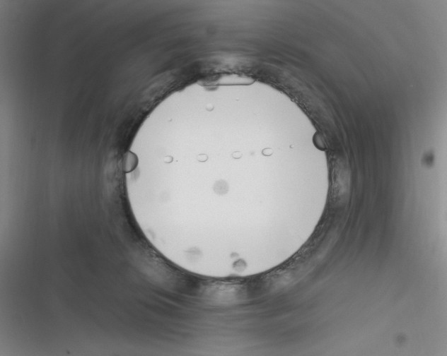 X0000116330276201001131031