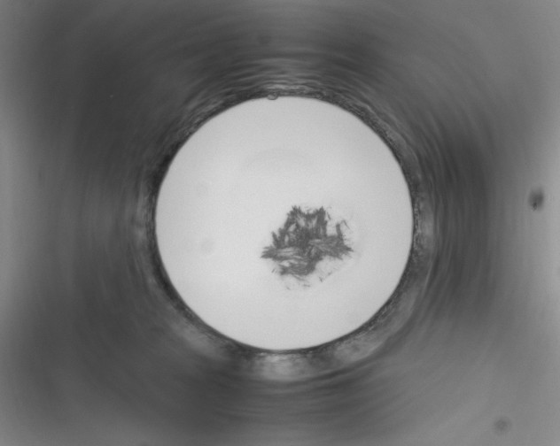 X0000116330277201001131031