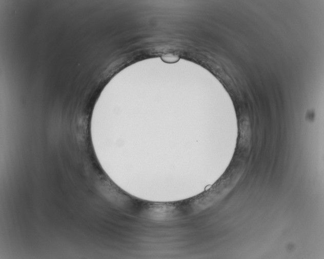 X0000116330278201001131031