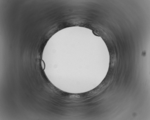 X0000116330279201001131031