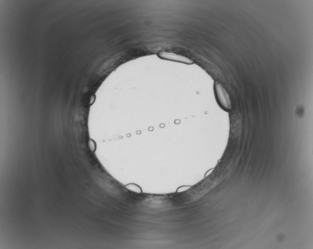 X0000116330280201001131031
