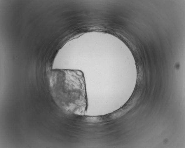 X0000116330281201001131031