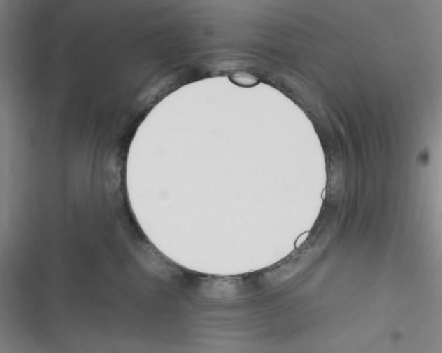 X0000116330282201001131031
