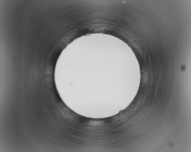 X0000116330283201001131031