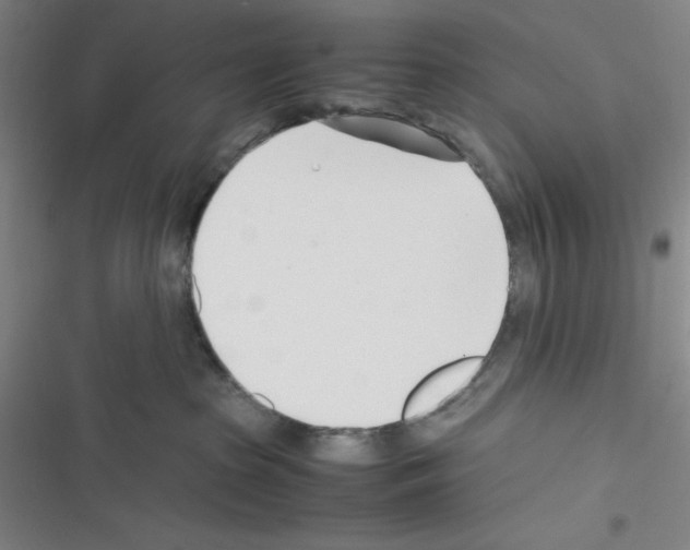 X0000116330285201001131031
