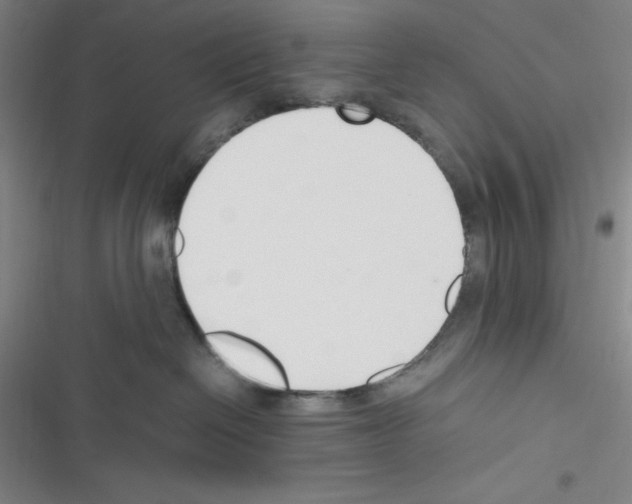 X0000116330286201001131031