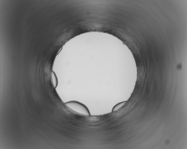 X0000116330287201001131031
