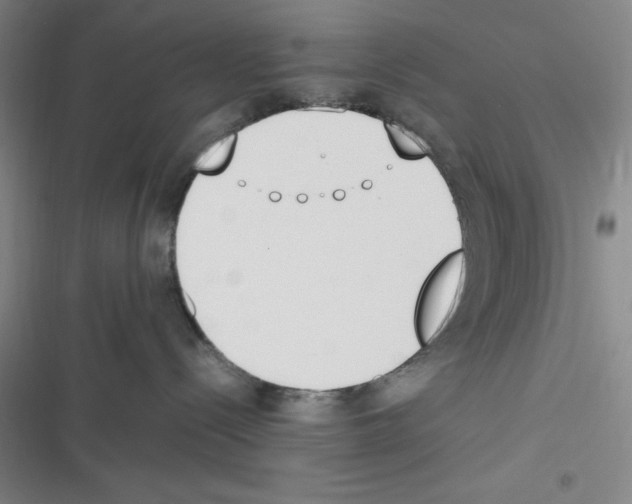 X0000116330288201001131031