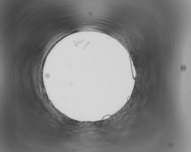 X0000116330289201001131030