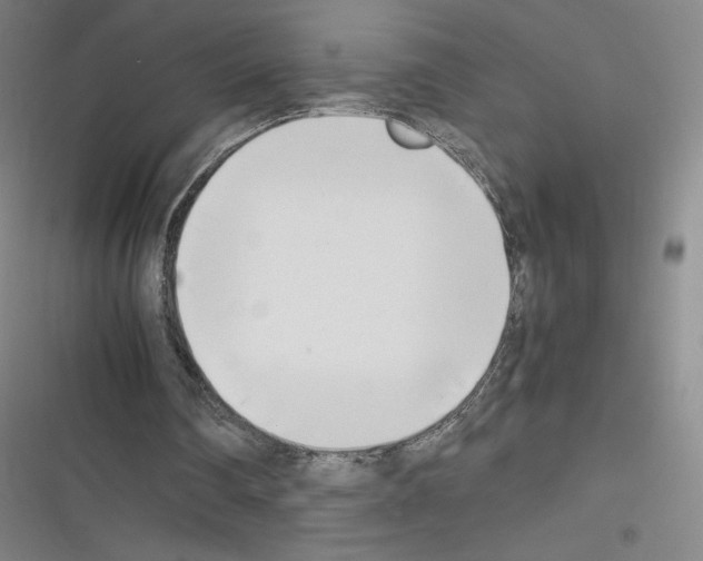 X0000116330290201001131030
