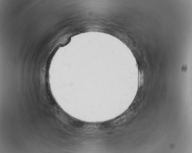 X0000116330291201001131030