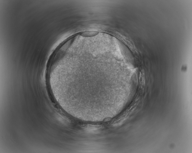 X0000116330292201001131030