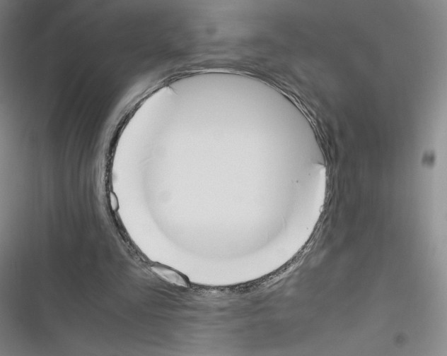X0000116330293201001131030