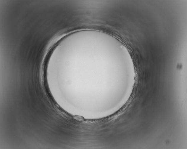 X0000116330294201001131030