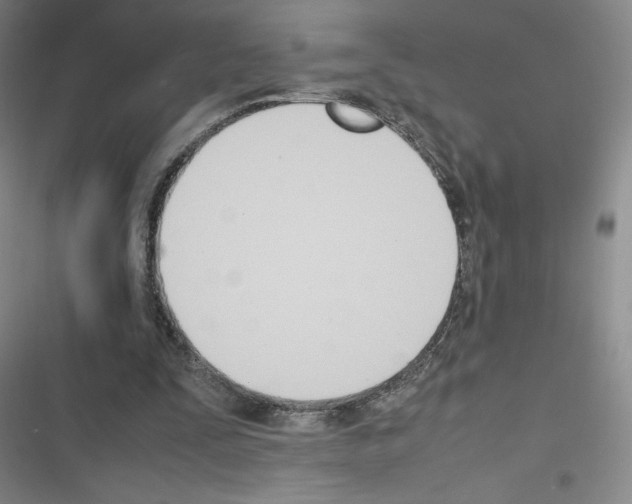 X0000116330295201001131030