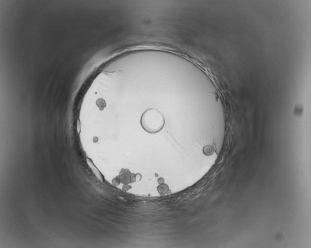 X0000116330296201001131030
