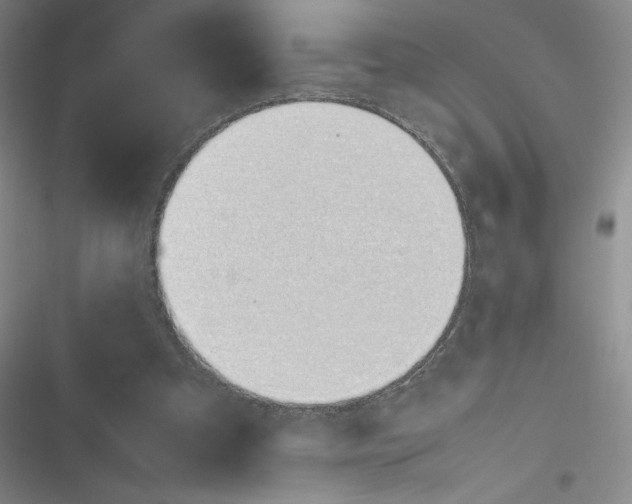 X0000116330297201001131030