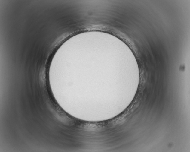 X0000116330298201001131030