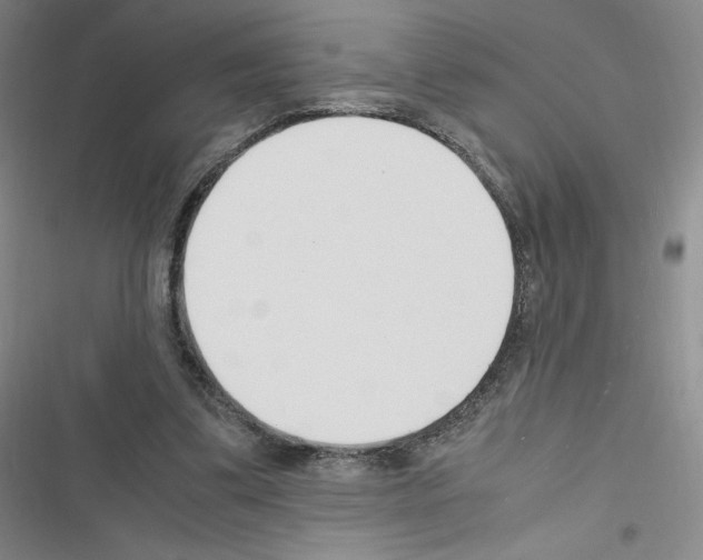 X0000116330299201001131030