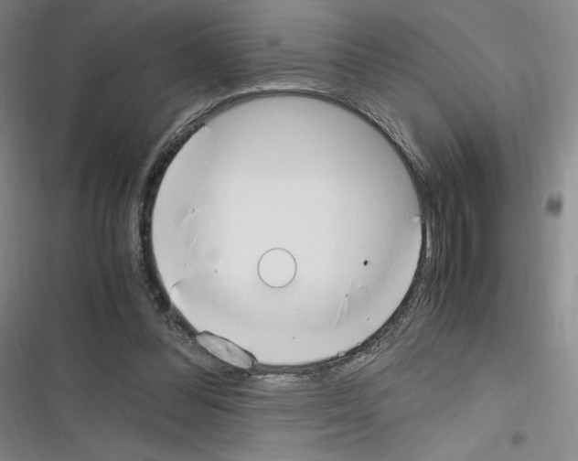 X0000116330300201001131030