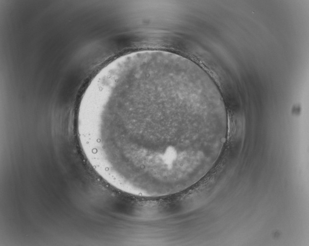 X0000116330301201001131030