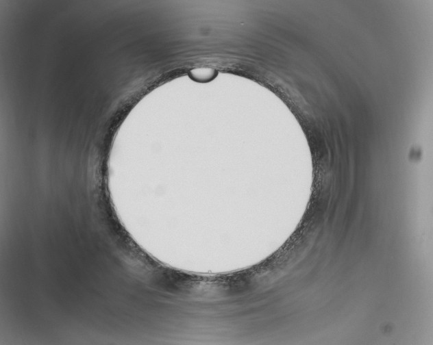 X0000116330303201001131030